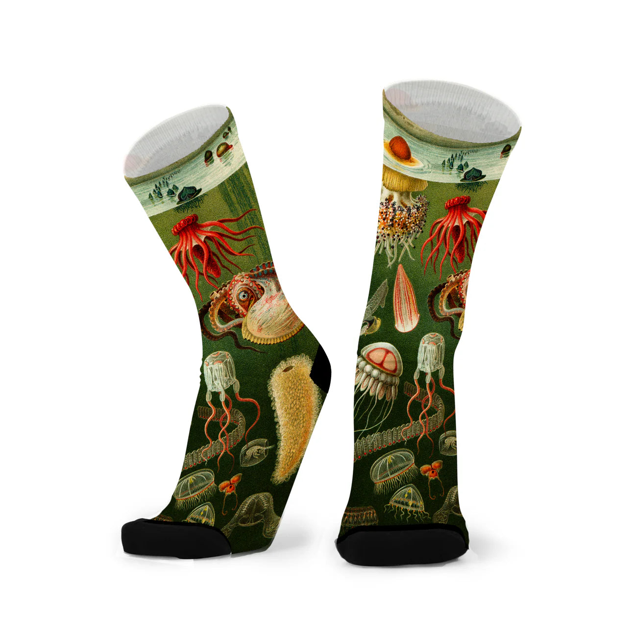 Tentacle Spectacle Men's Bamboo Crew Socks