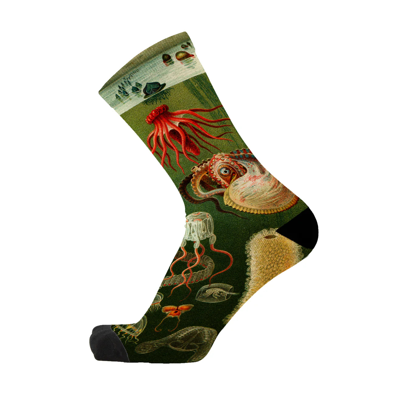 Tentacle Spectacle Men's Bamboo Crew Socks