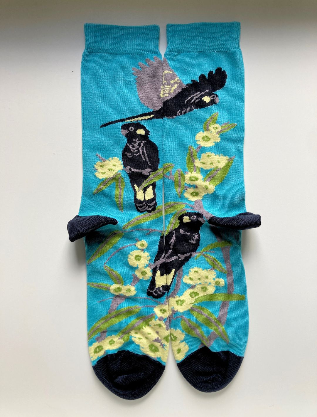 Black Cockatoo Socks in Aqua Blue