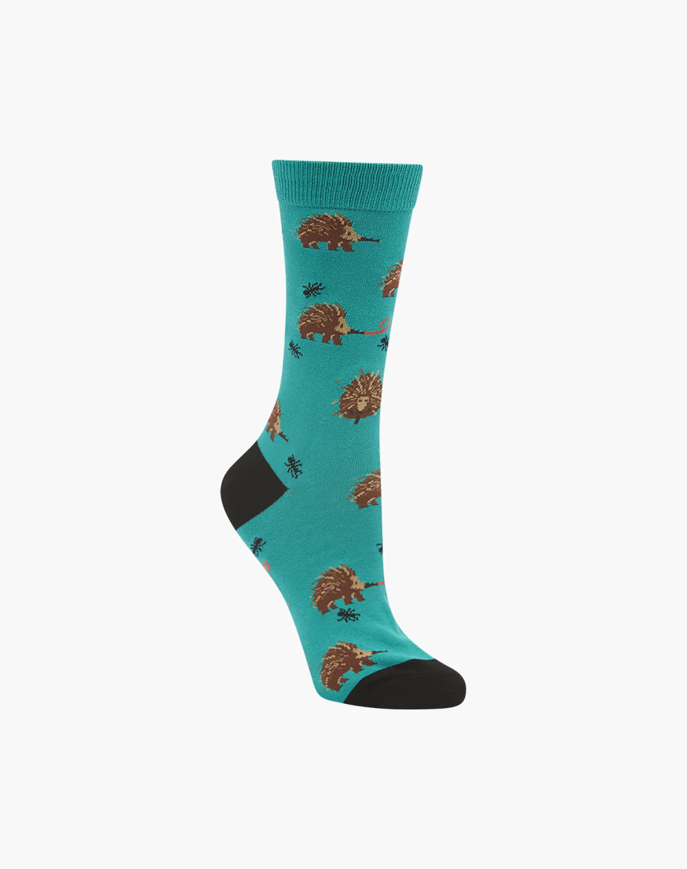 Bundle of 3 Women's Crew Socks - Tasmania's Favourite Animals
