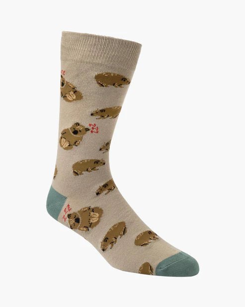 Beige sock with hedgehog pattern on a white background