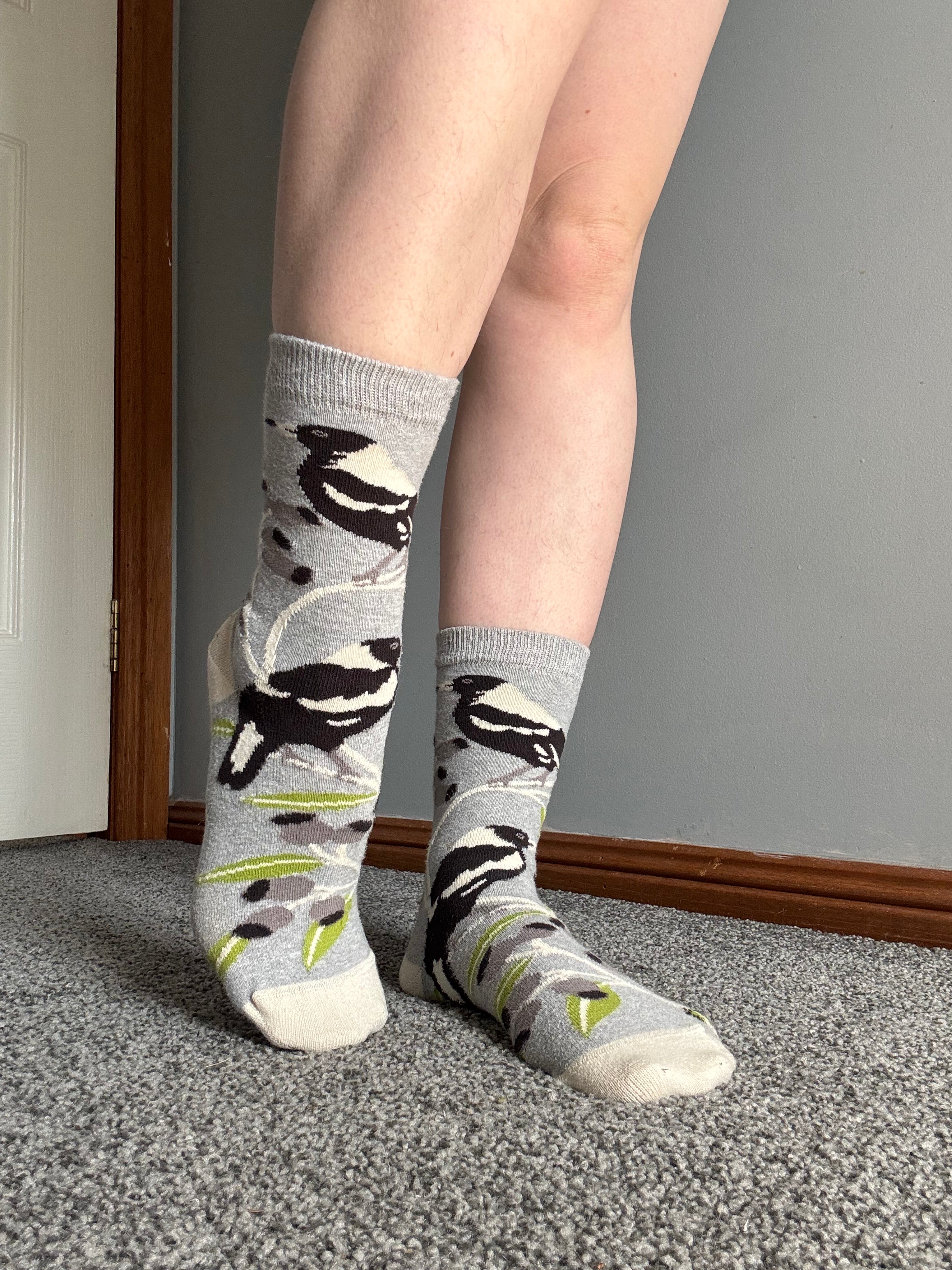 Australian Magpie Socks