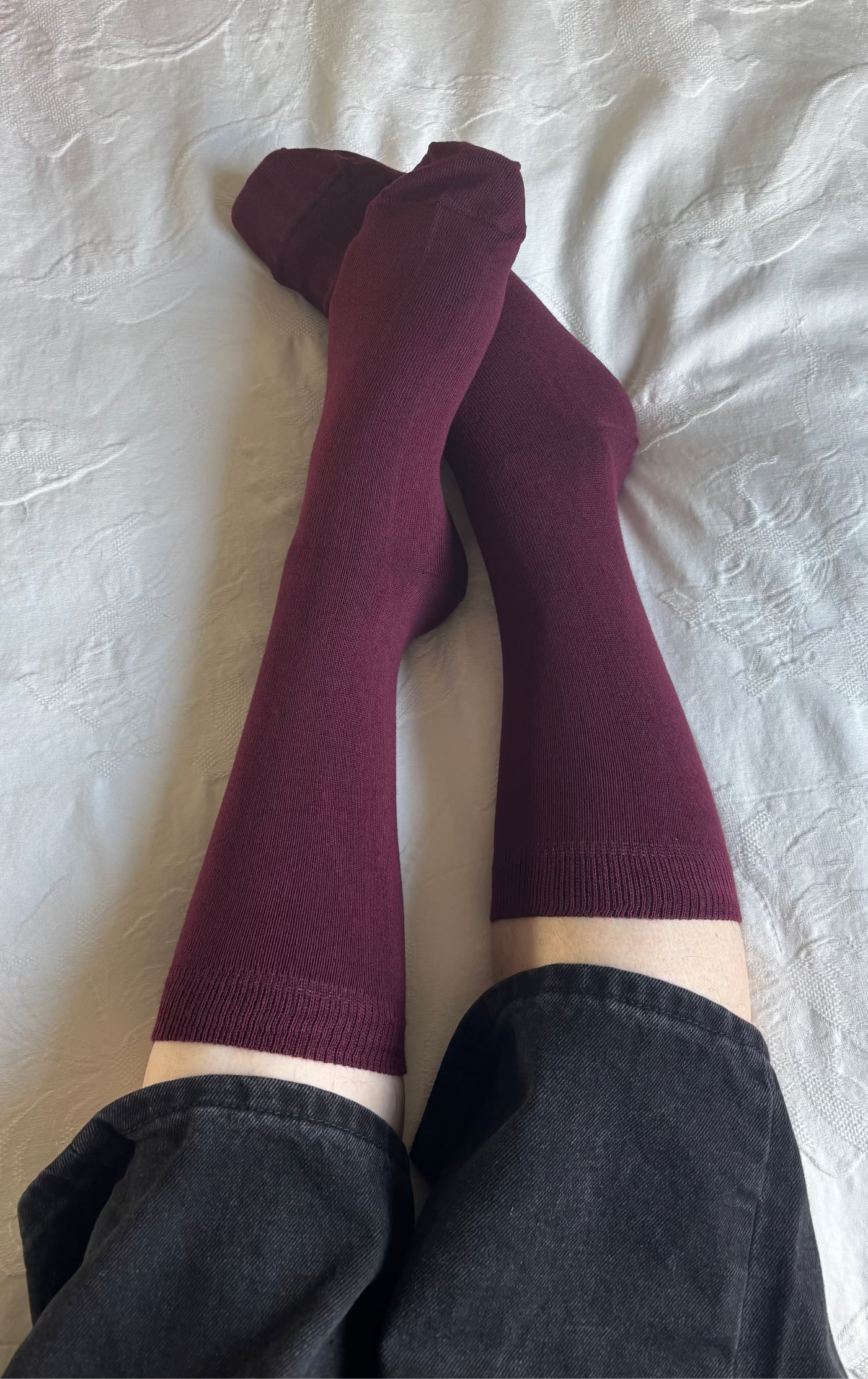 Wine Not? Burgundy Cotton Crew Dress Sock - Australian Made