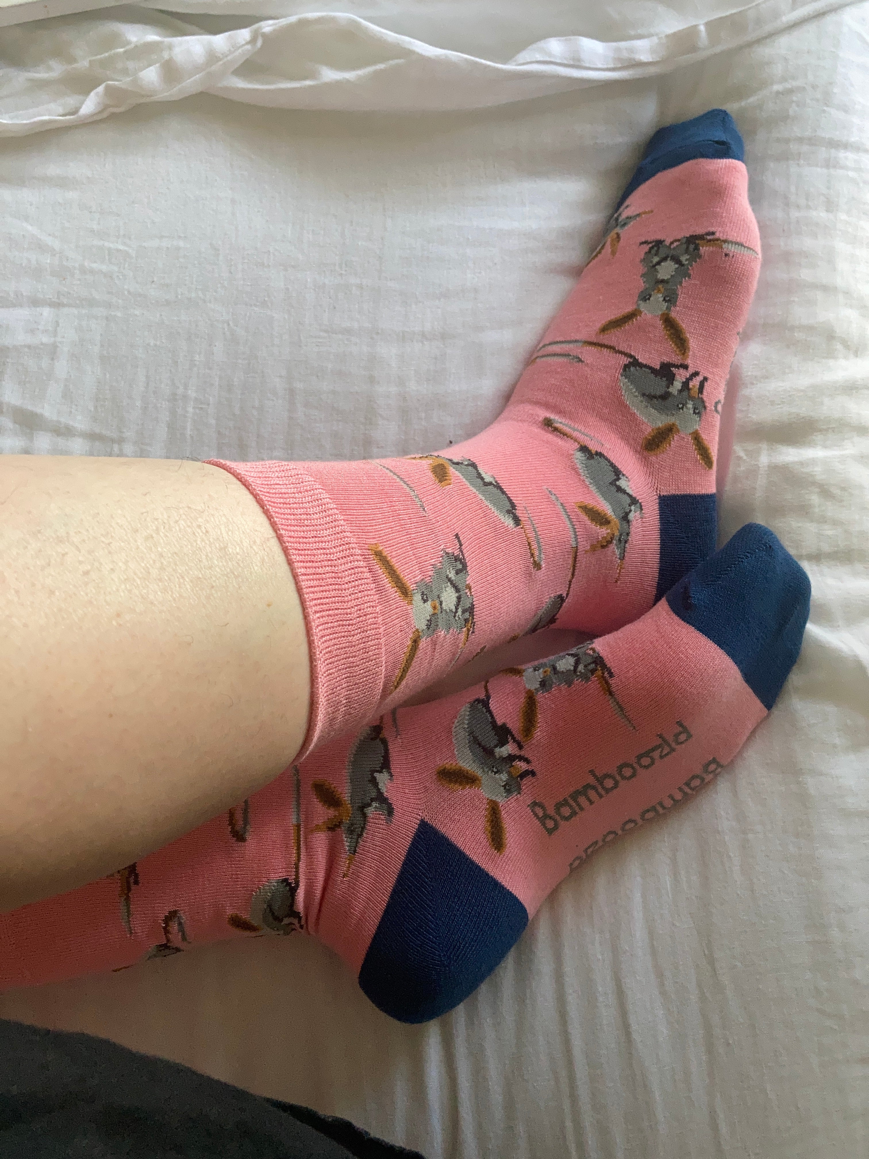 Australian Bilby Women's Bamboo Crew Socks - Help Save the Bilby Fund