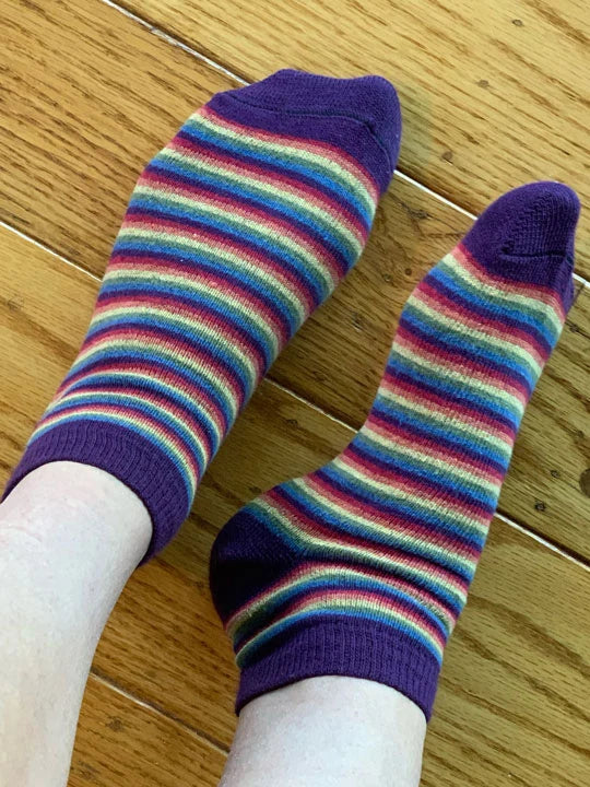 Earthern Rainbow Ankle Socks