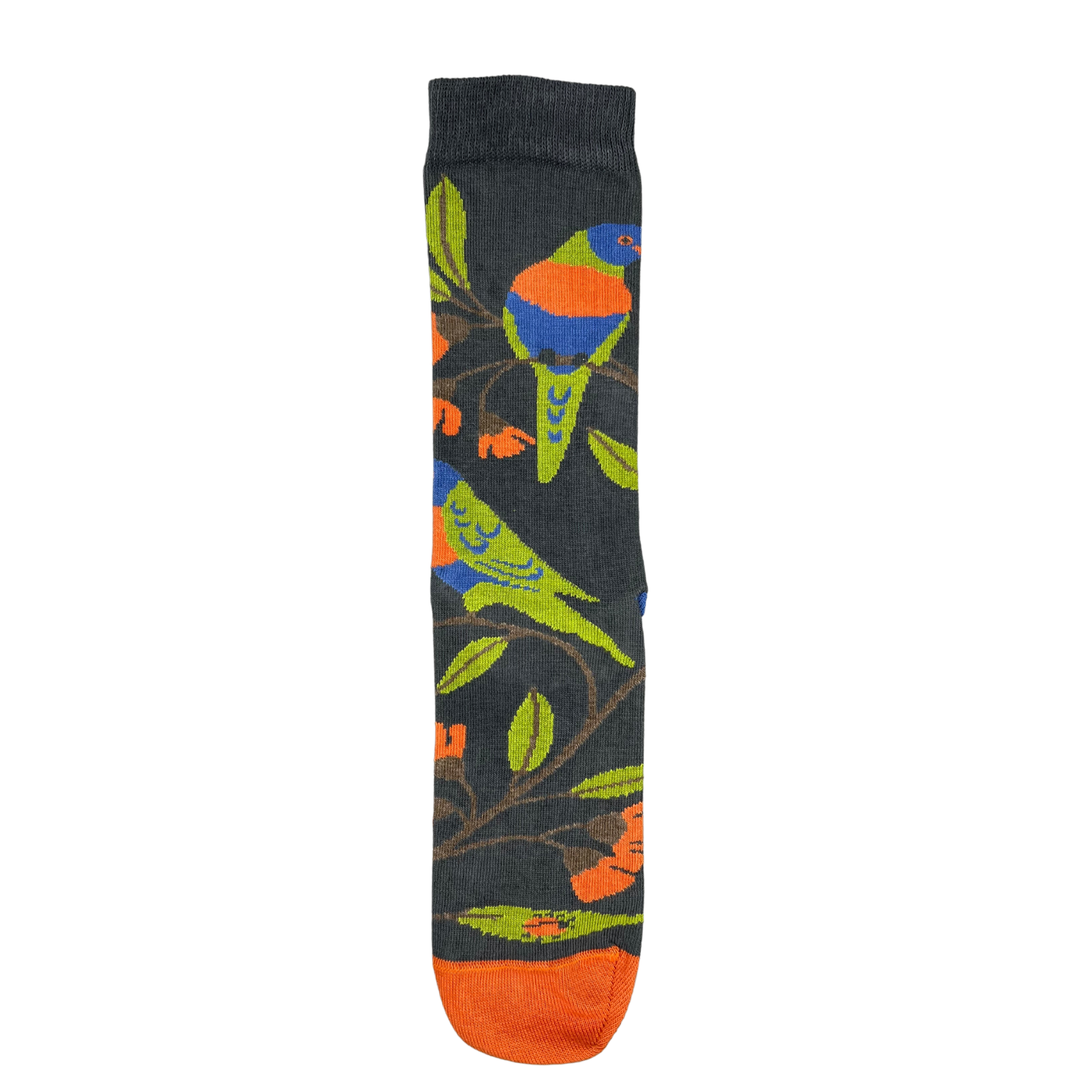 Rainbow Lorikeet Crew Socks