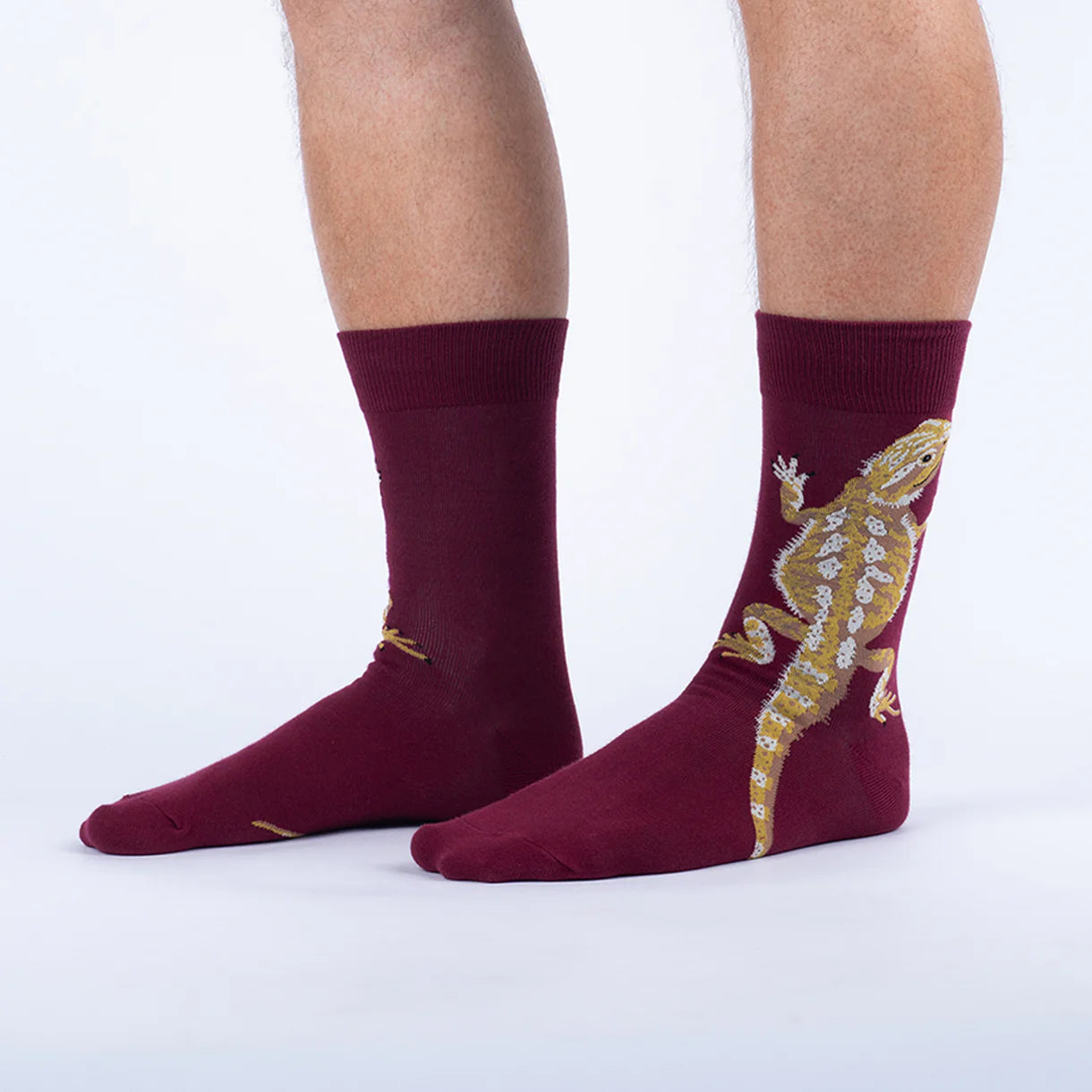 Maroon socks with a gold lizard design on a white background
