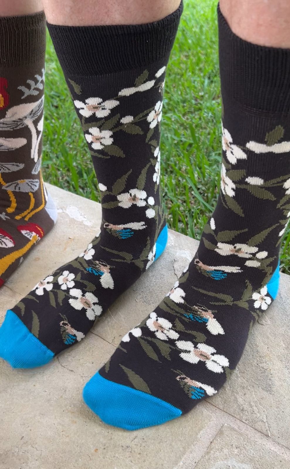 Blue Banded Bee and Tea Tree Socks