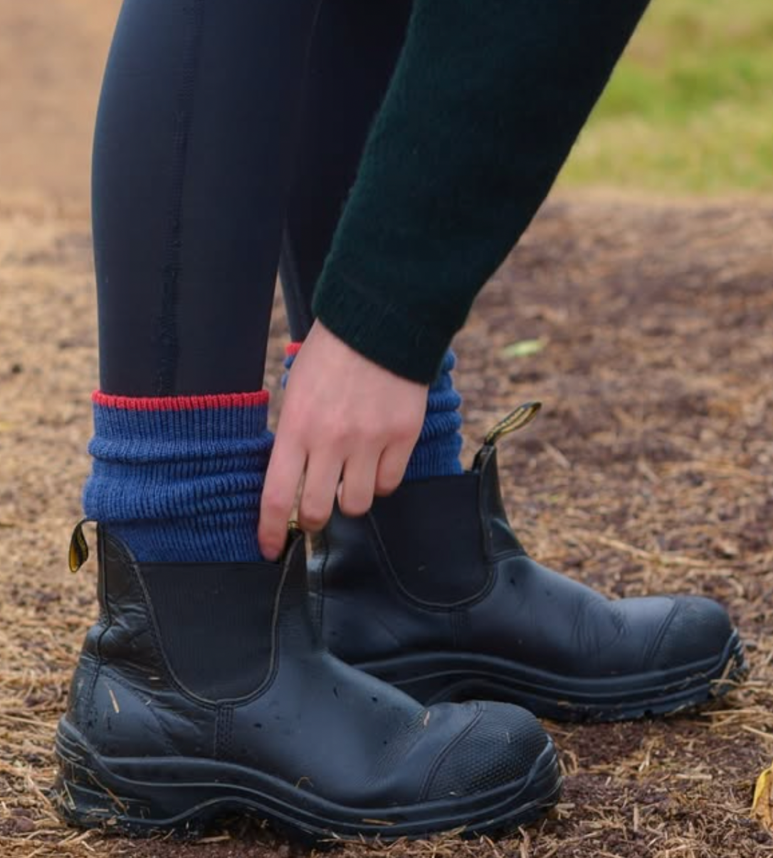 Thermal Hi-Trek Socks in Blue