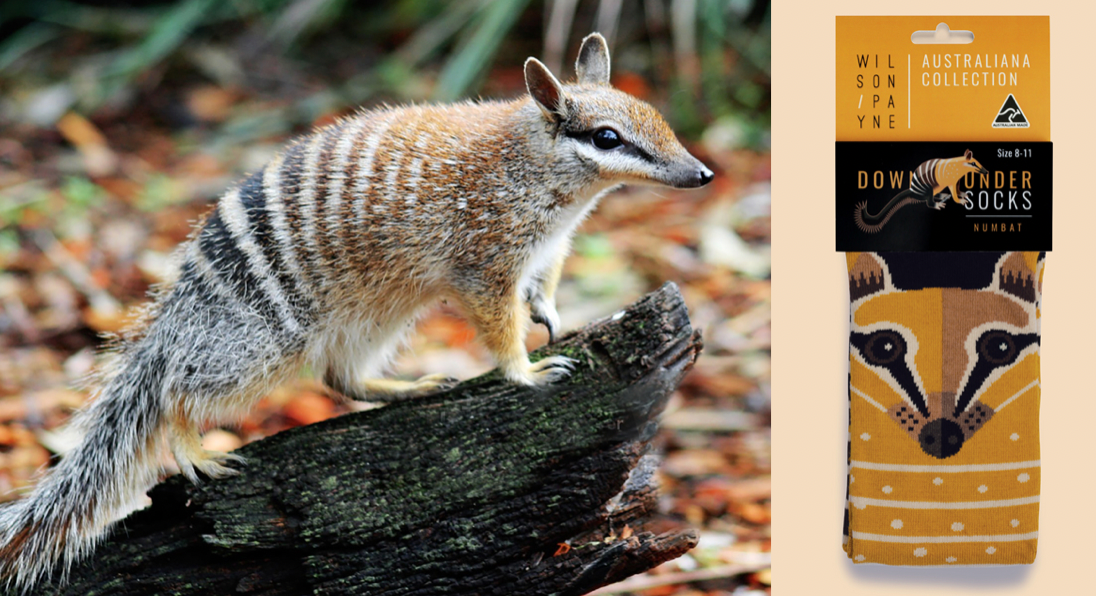 Numbat Crew Socks