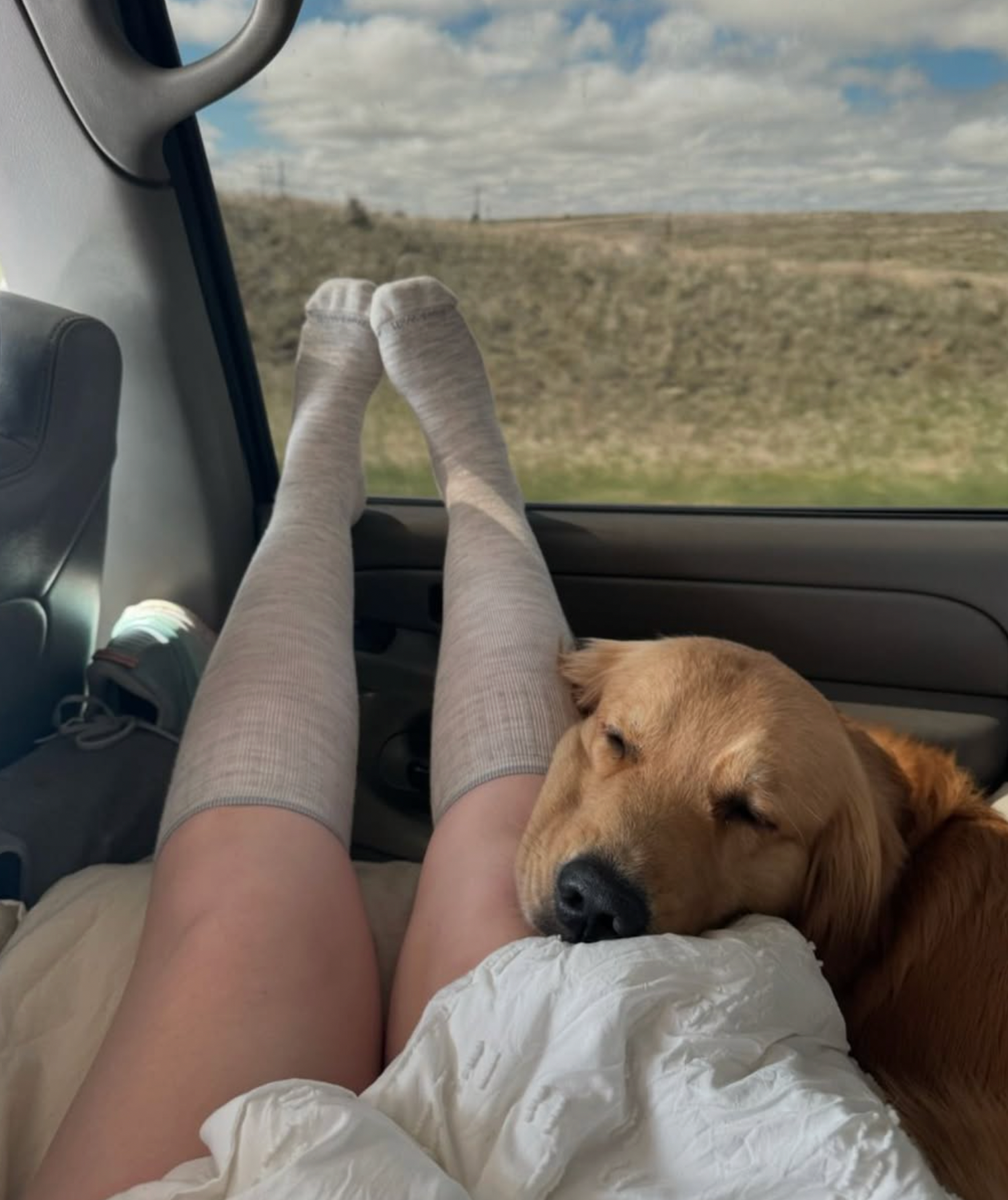 Person with legs up in a car with a dog resting on their lap, surrounded by a natural landscape.