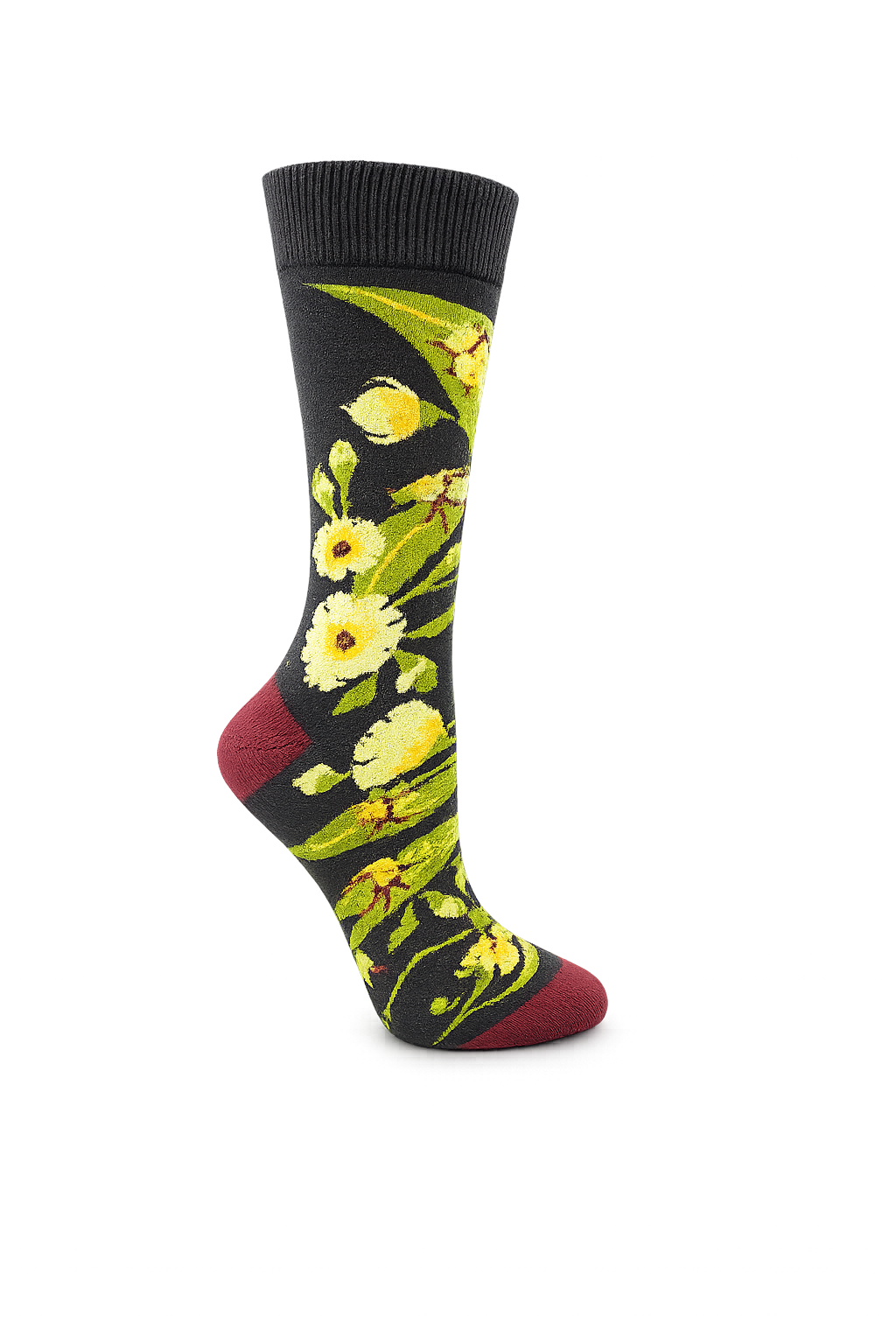 Eucalyptus blossoms with Christmas beetles