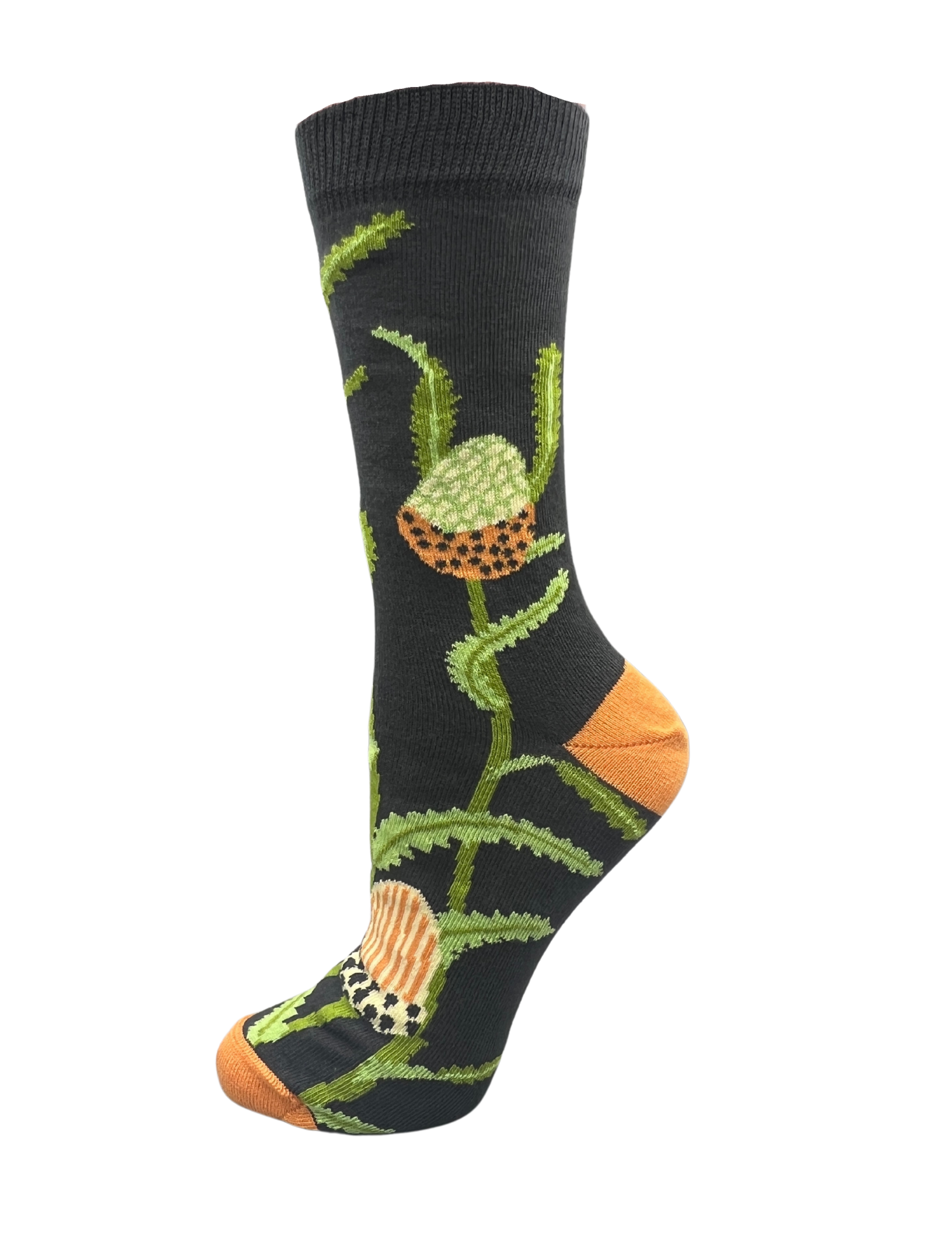 Banksia Women's Crew Socks
