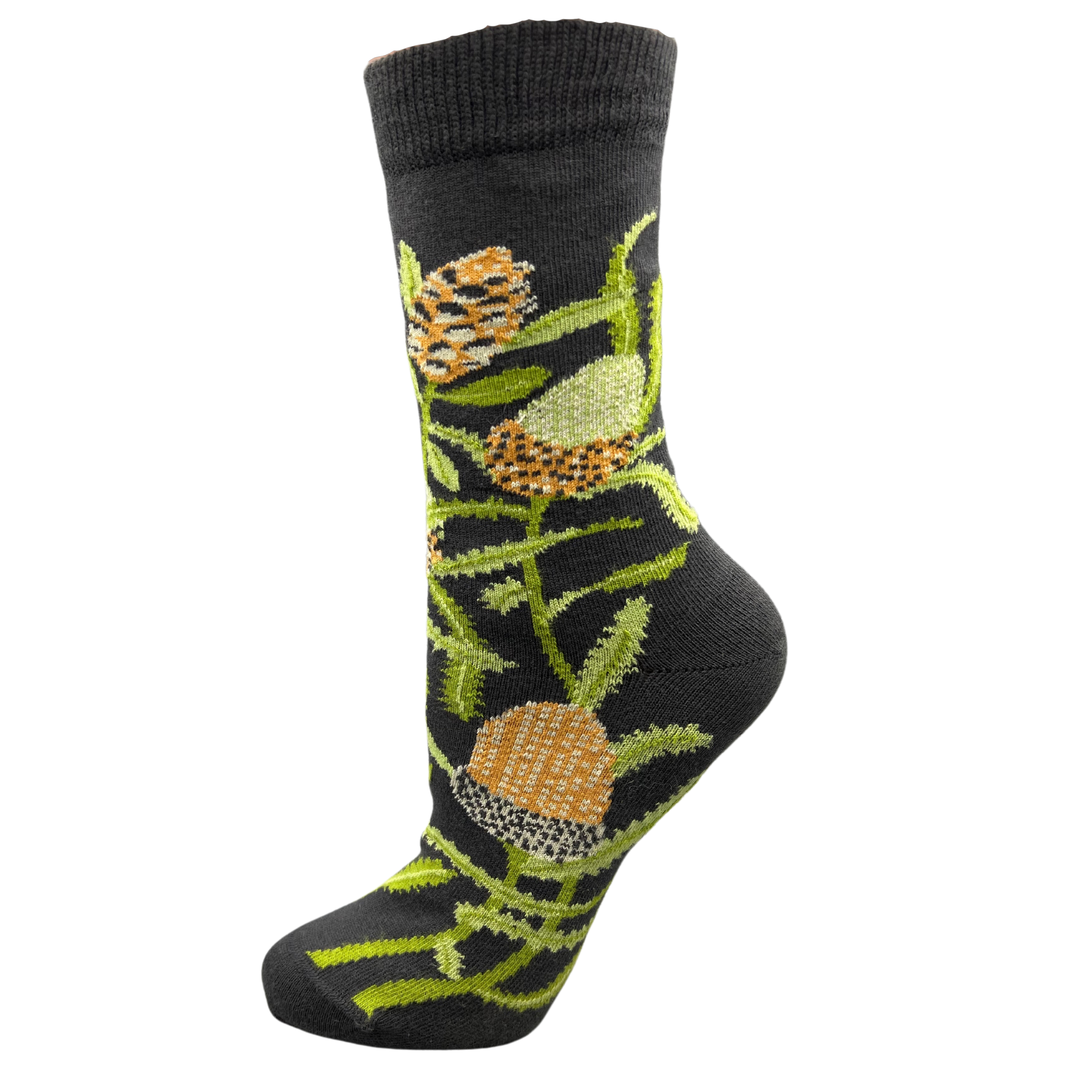 sock featuring banksias on a dark background - The Sockery