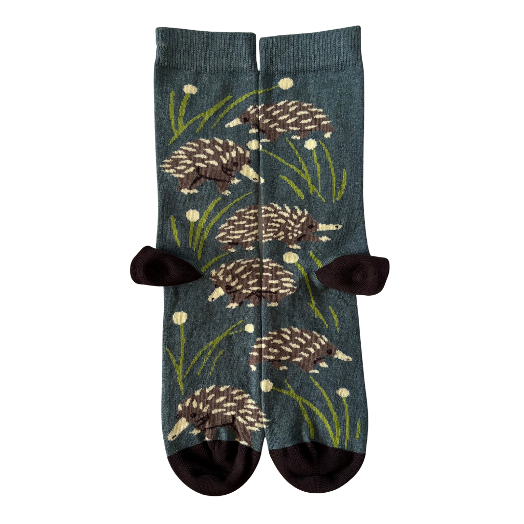 Pair of socks with echidna design on green background