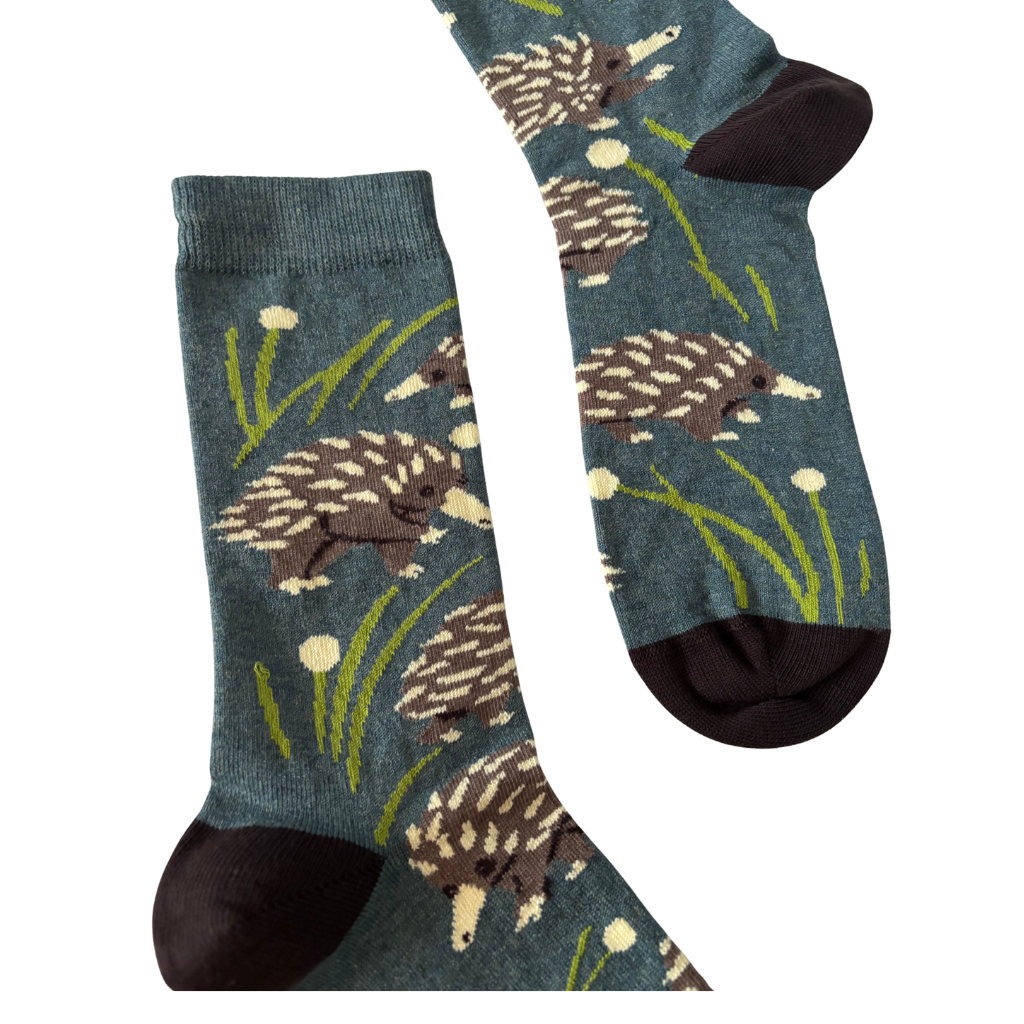 Pair of socks with echidna design on green background
