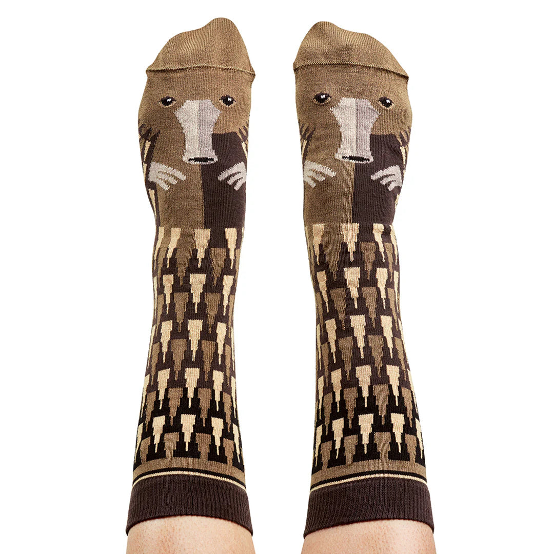Echidna Crew Socks
