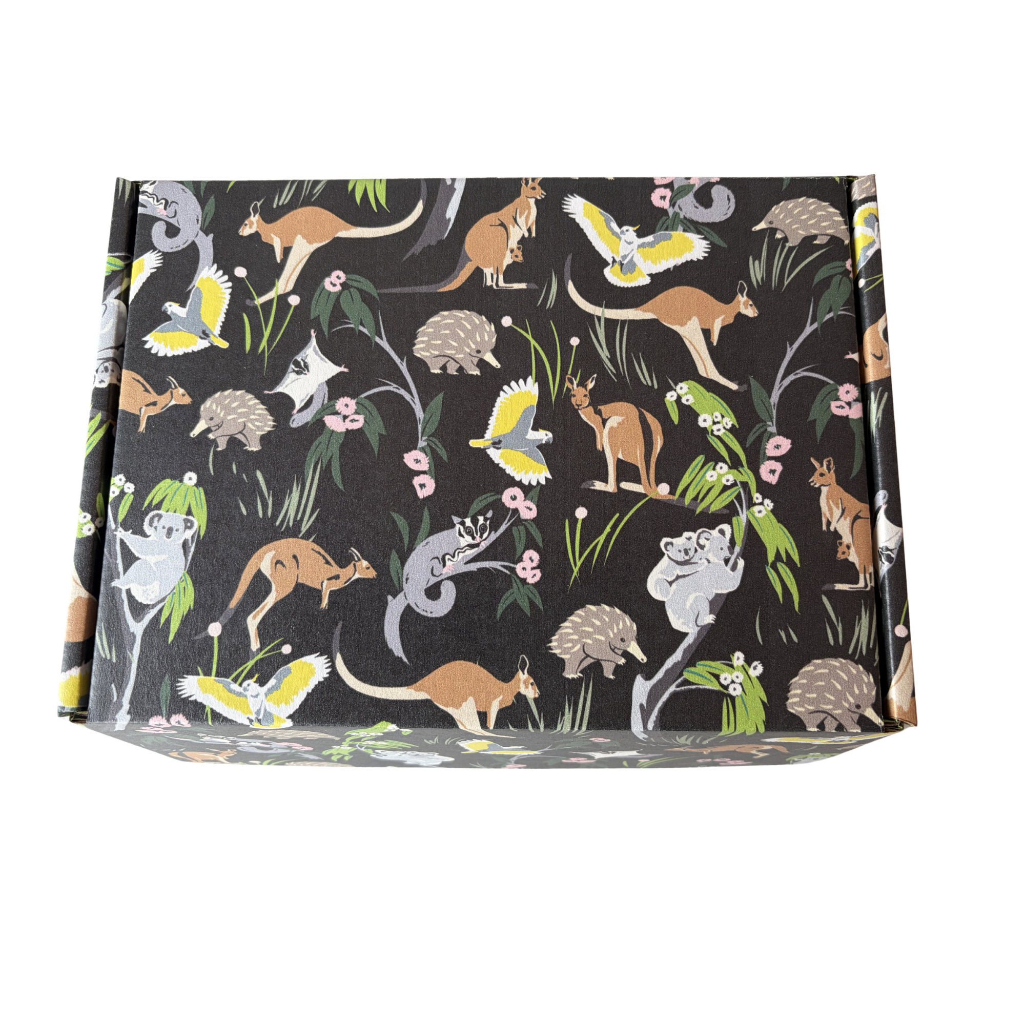 Gift Box Large - Flora & Fauna on Black