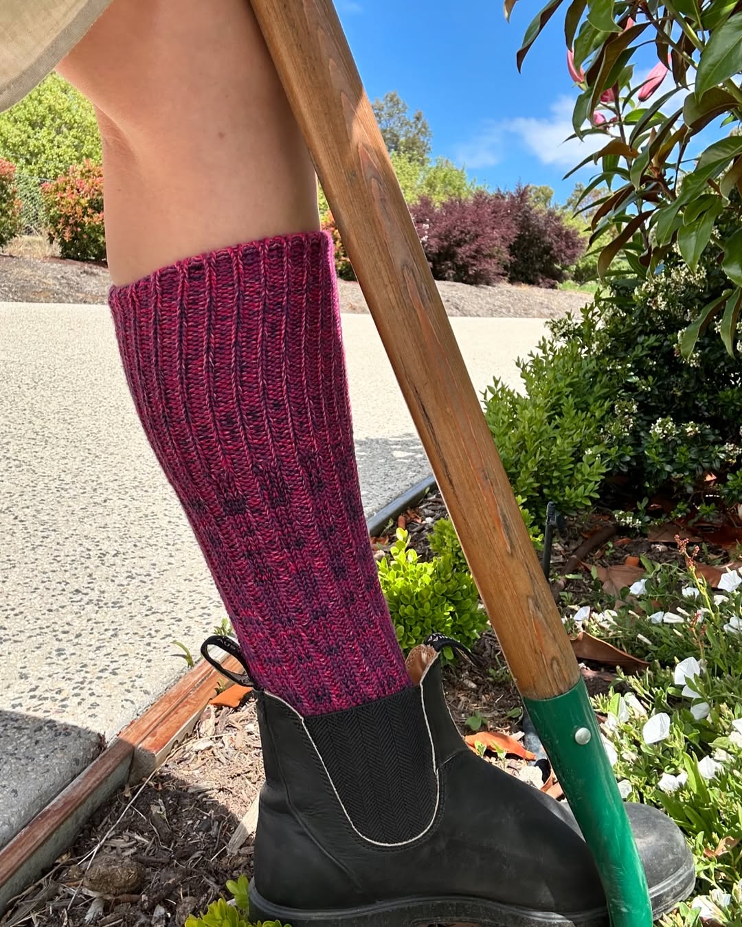 Pure Merino Mongrel Socks - Mulberry