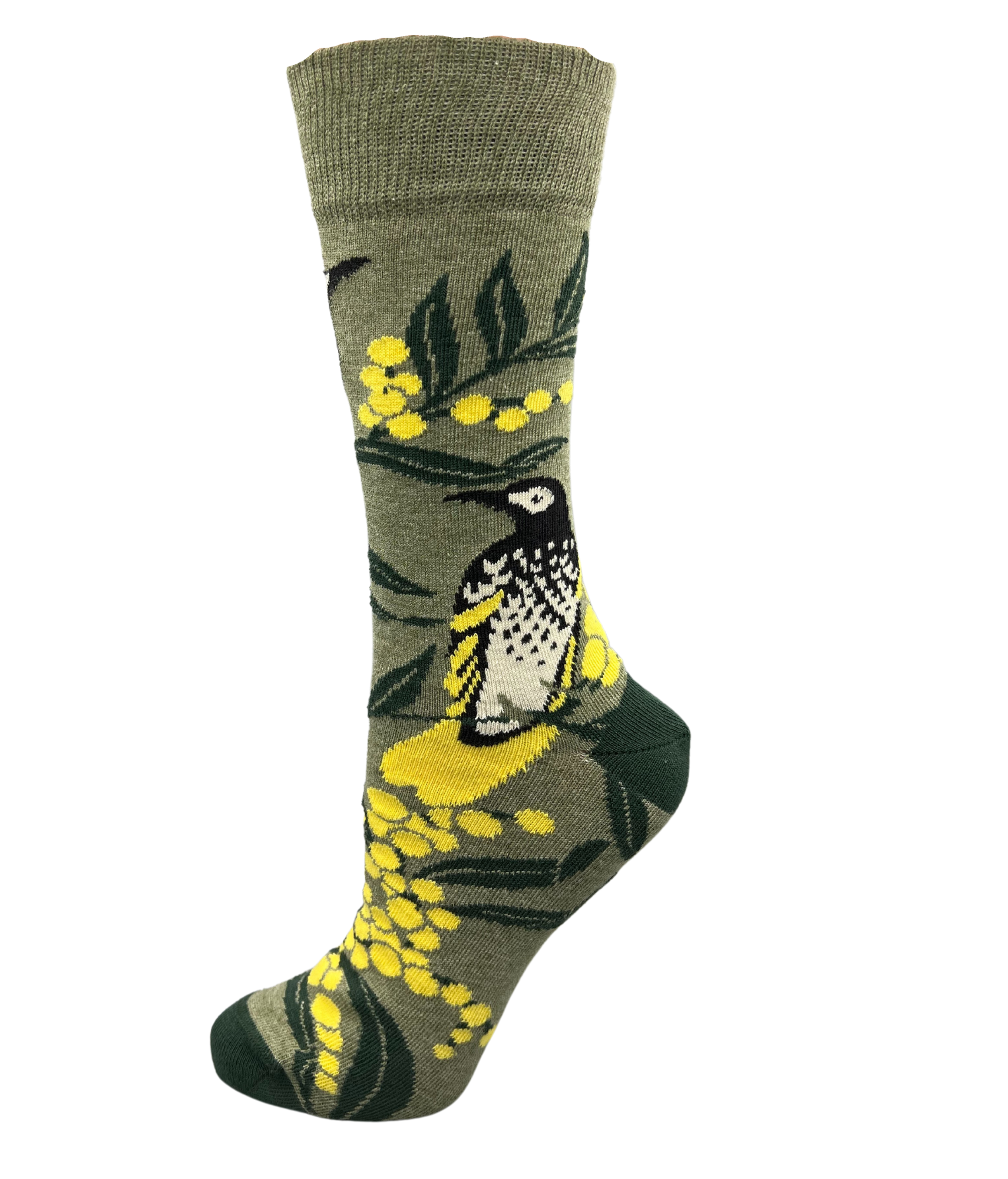 regent honey eater and wattyl - the sockery
