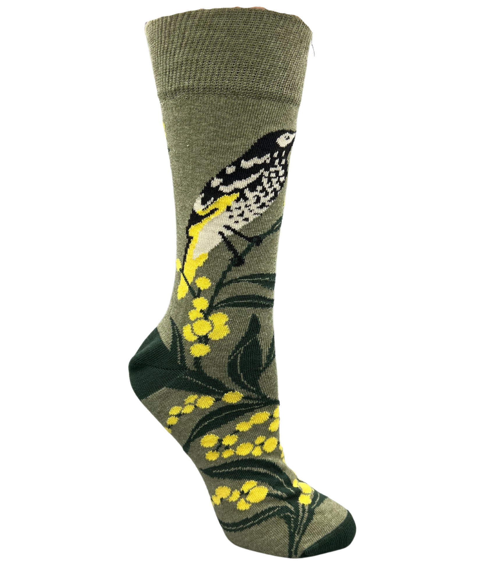 regent honey eater and wattyl - the sockery