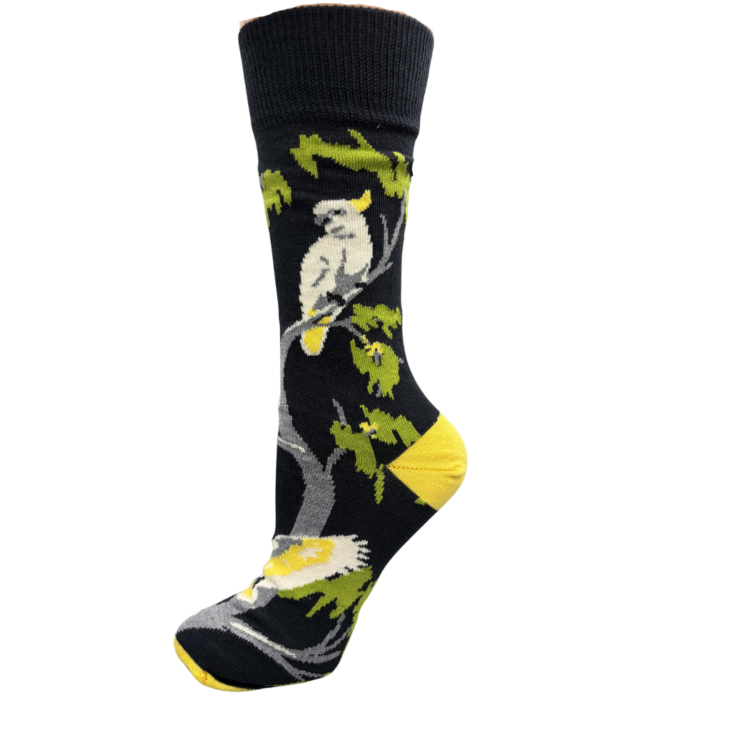 sulphur crested cockatoo on a sock