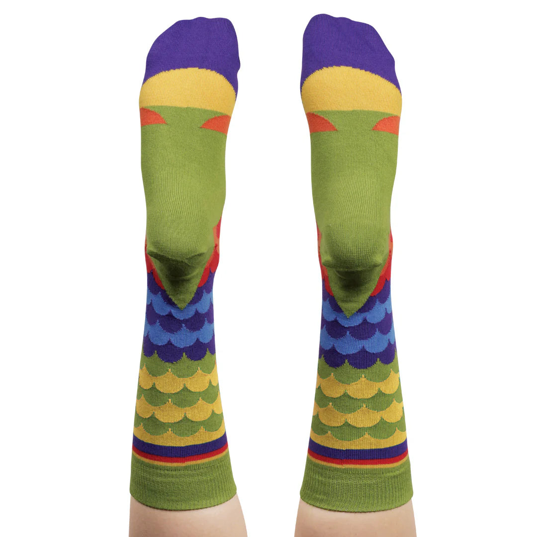 Colourful rainbow lorikeet socks - The Sockery