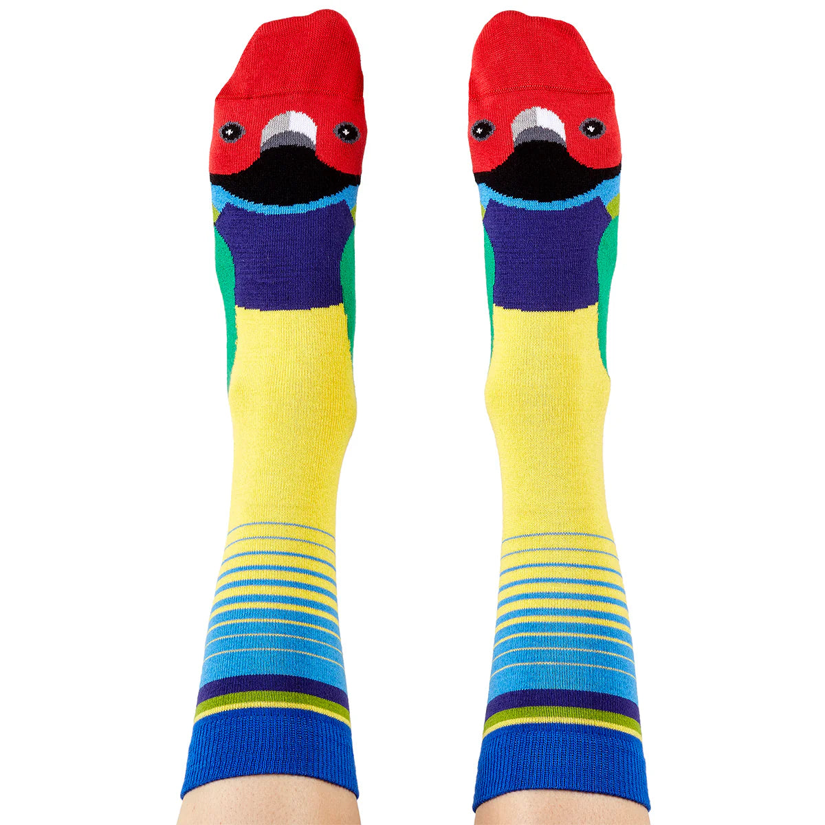 Colourful socks with a finch design - The Sockery