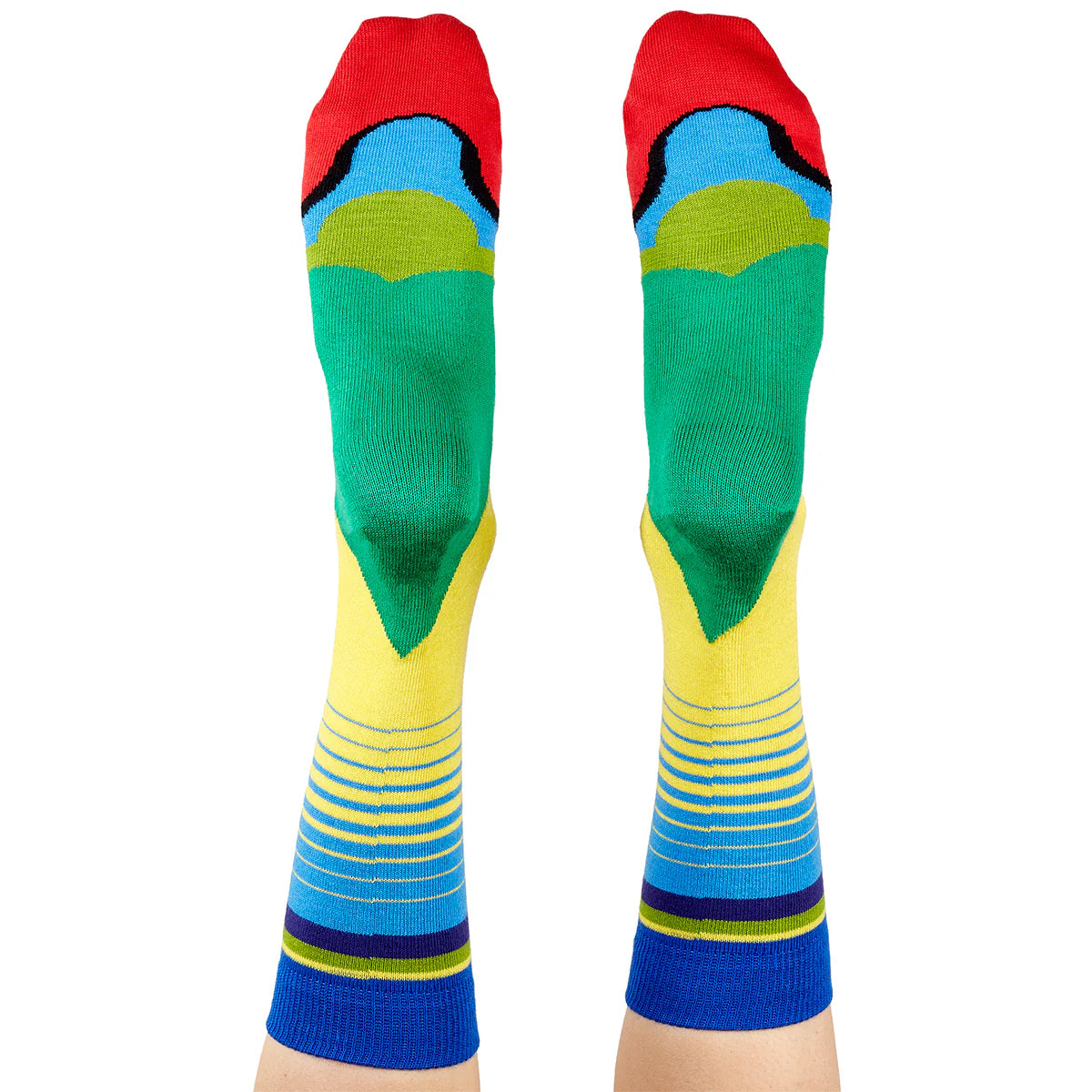 Colourful socks with a finch design - The Sockery