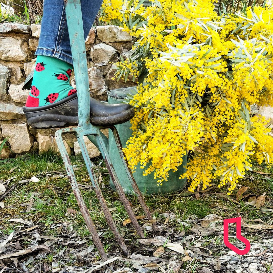Ladybird Women's Bamboo Crew Socks in Green