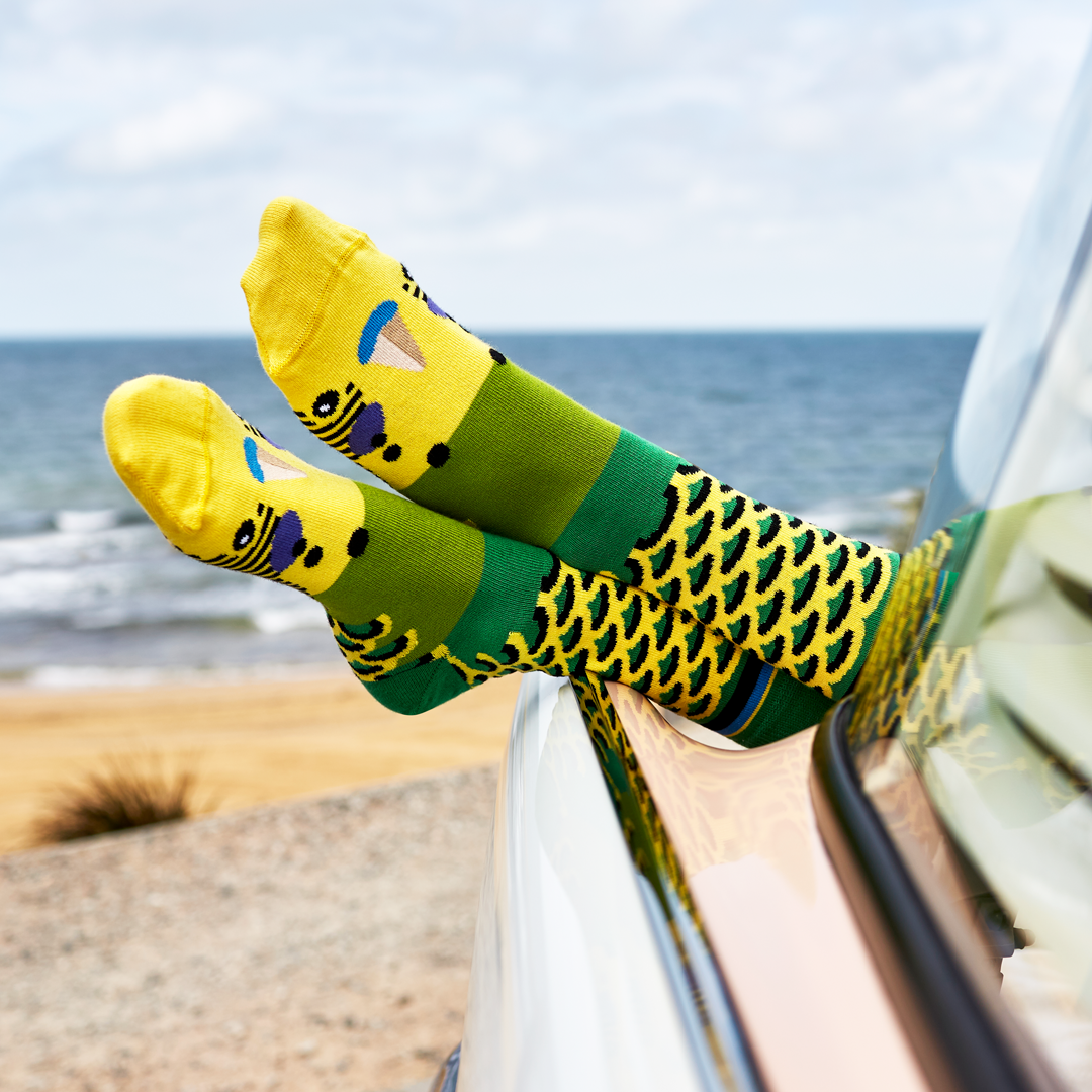 Person with their feet out the window of a car wearing green budgie socks - The Sockery