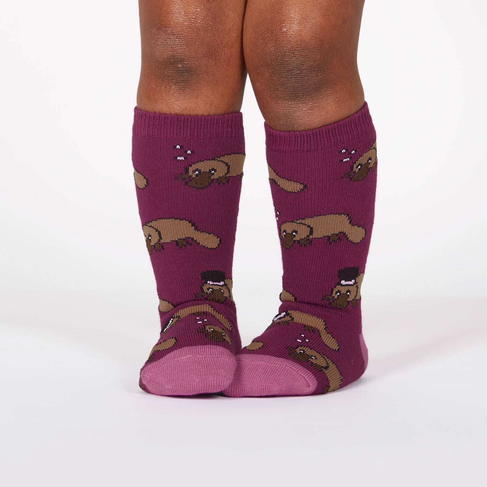 A toddler wearing purple knee high socks with platypus all over, some wearing top hats, front view - The Sockery