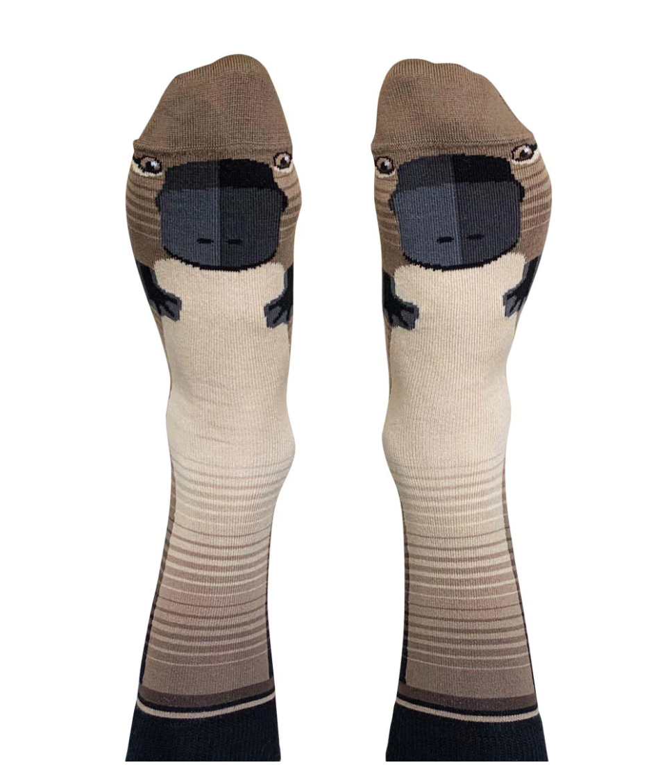 crew socks inspired by the platypus with a platypus face on the foot