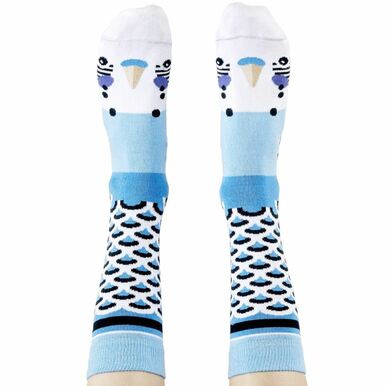person wearing a pair of blue budgie socks - The Sockery