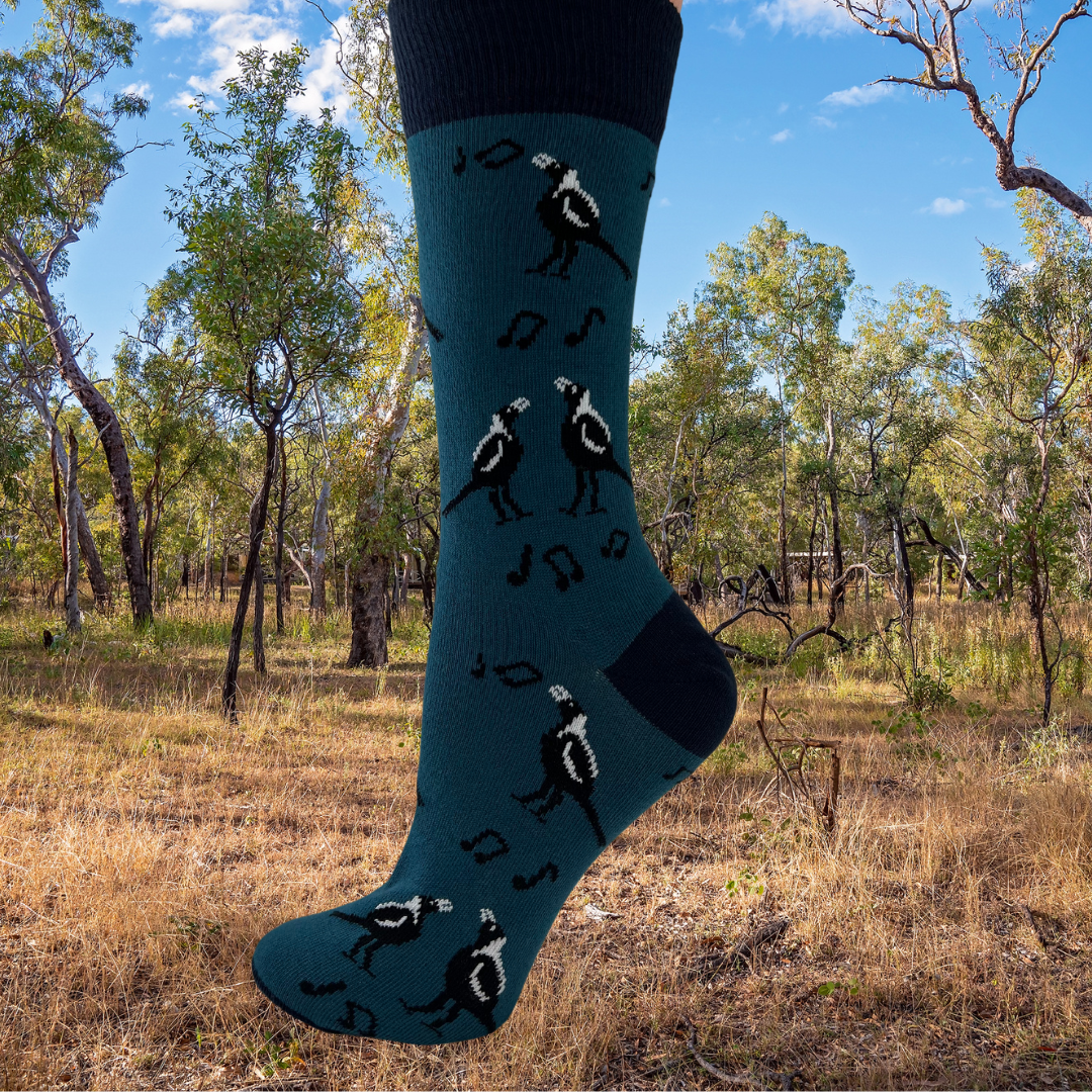 australian magpie singing on a blue sock- the sockery