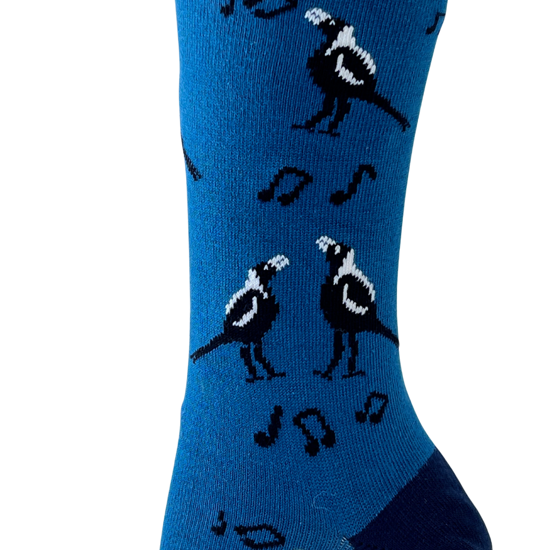 details ofaustralian magpie singing on a blue sock- the sockery