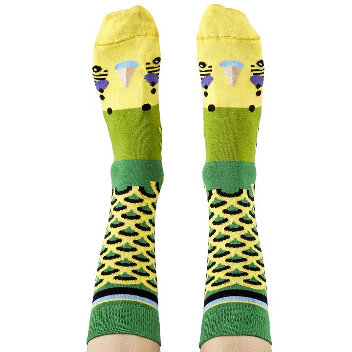 pair of feet wearing green budgie socks -The Sockery