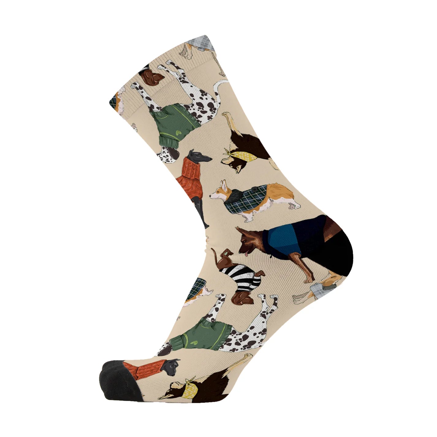 Raining Cats and Dogs Bamboo Crew Socks - 2Pk Gift Box