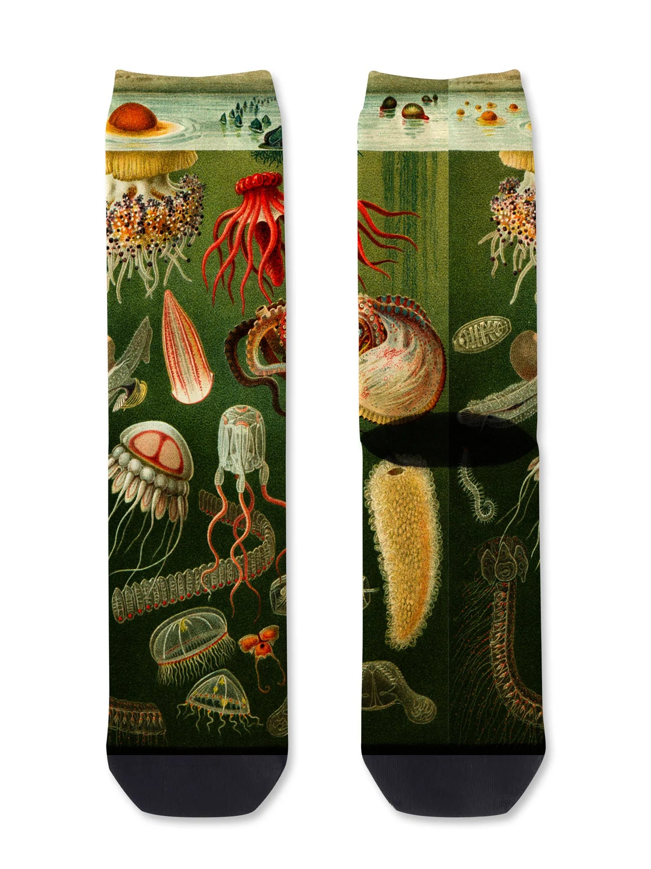 Tentacle Spectacle Men's Bamboo Crew Socks