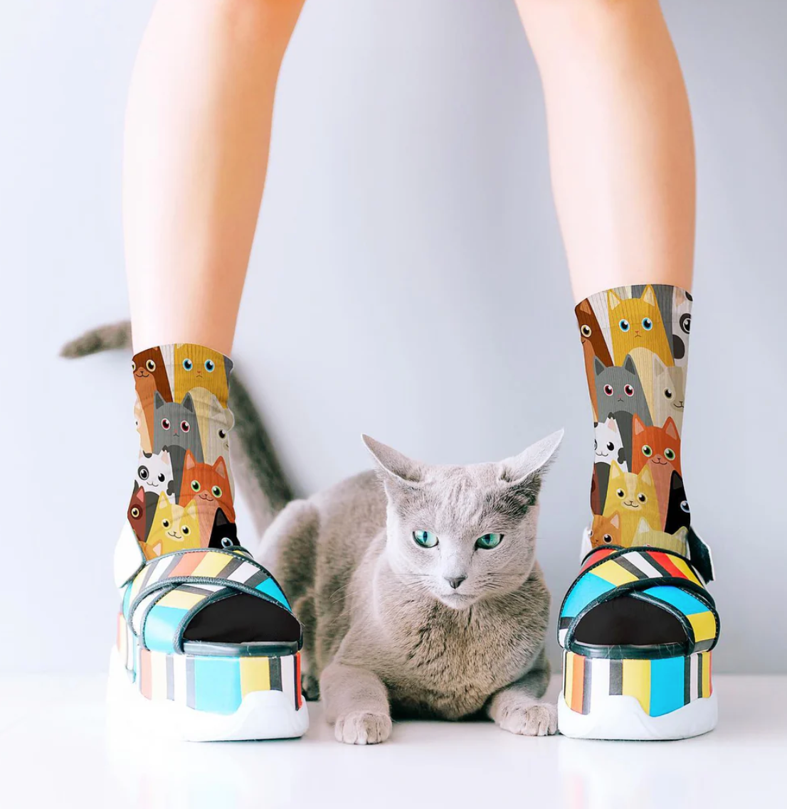 Herding Cats Bamboo Crew Socks - The Sockery