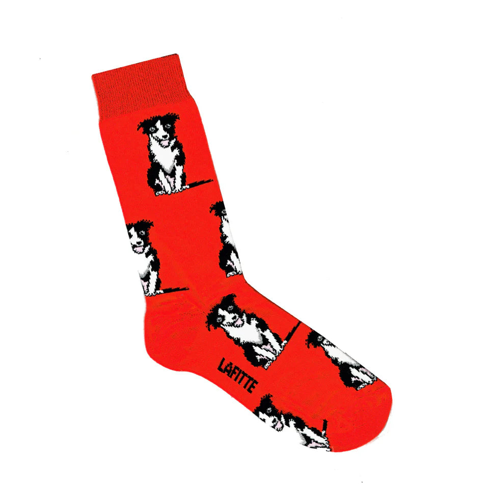 Border Collie Crew Socks in Red - Aussie Made - The Sockery