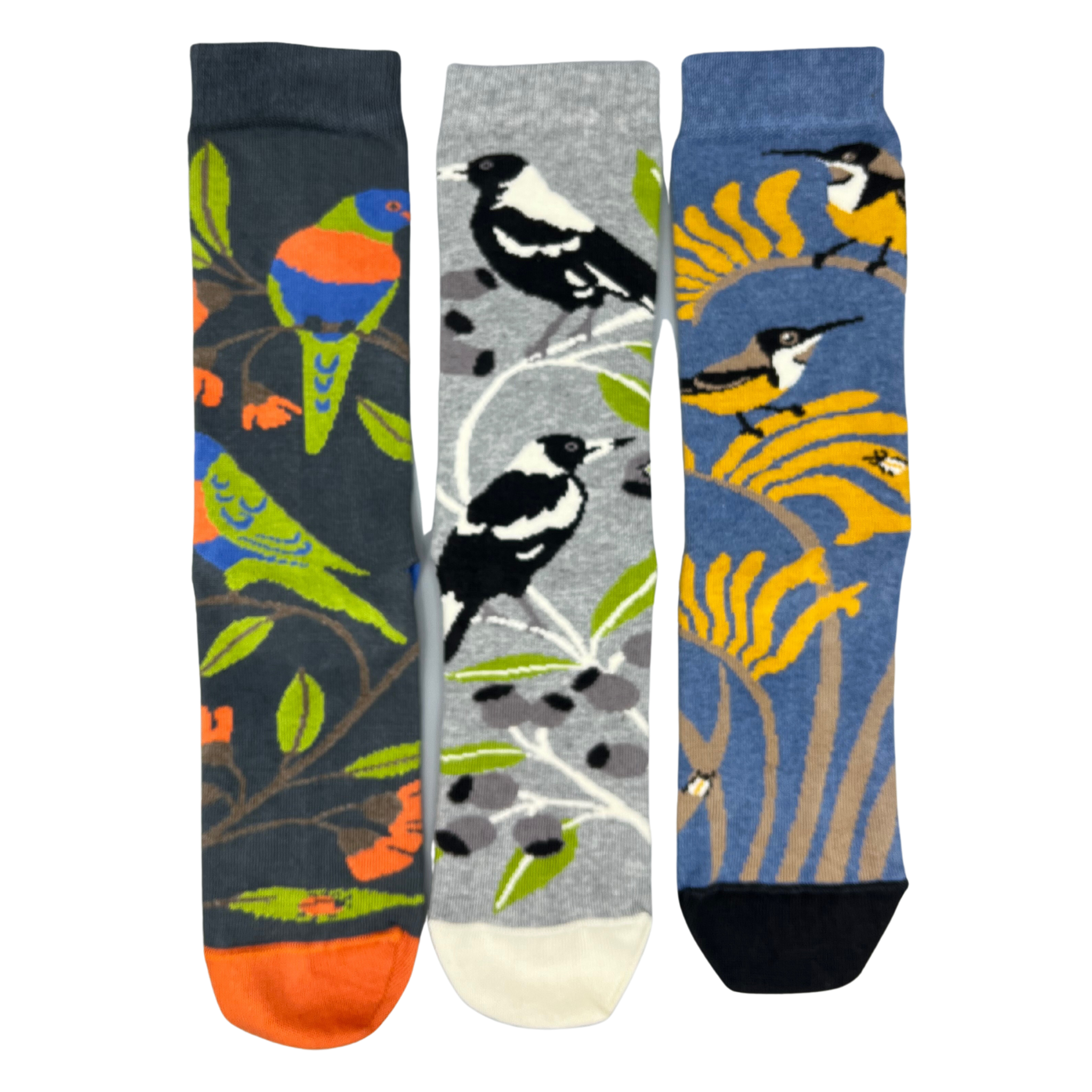 Pack of 3 Australian Bird Socks