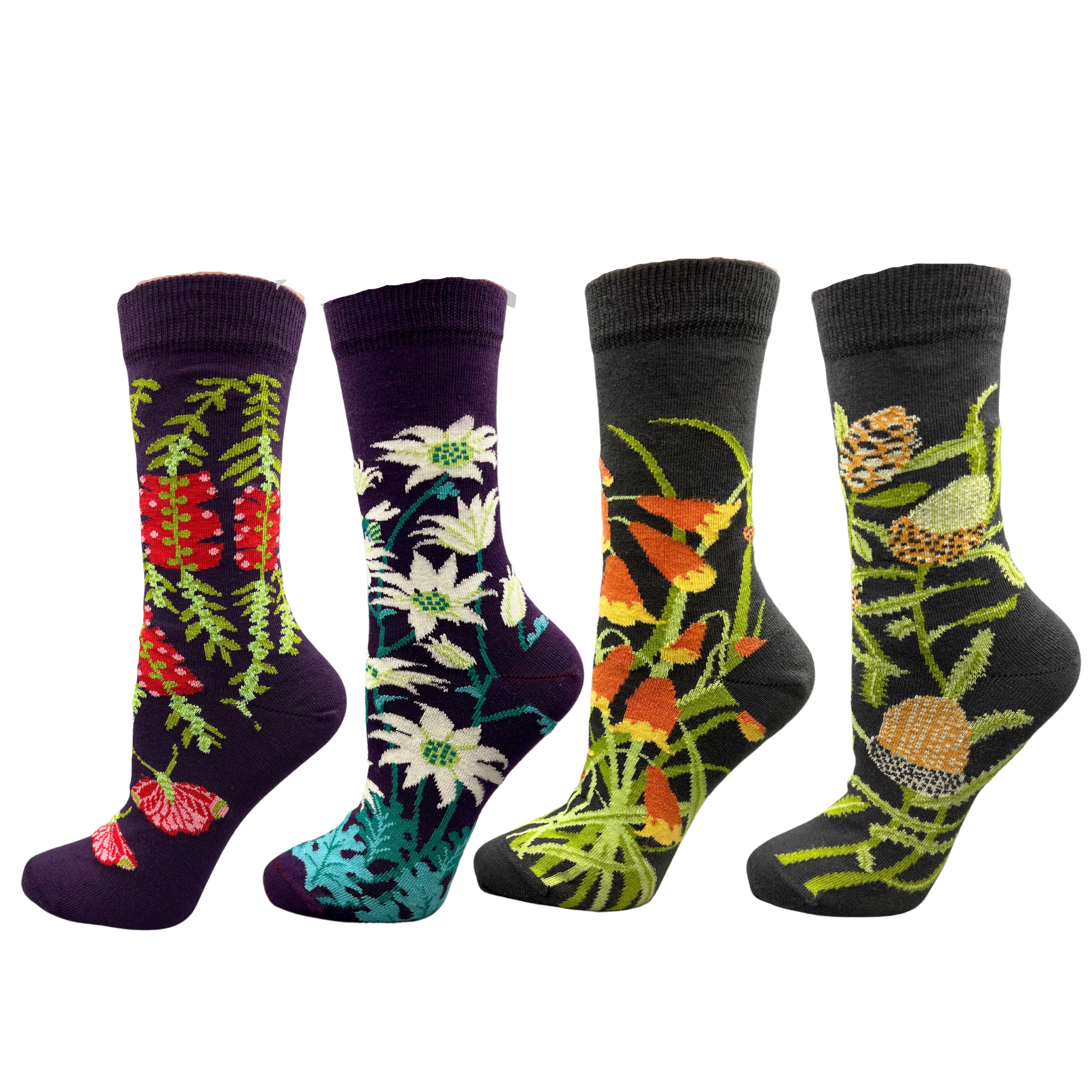 4 different Australian floral socks - The Sockery