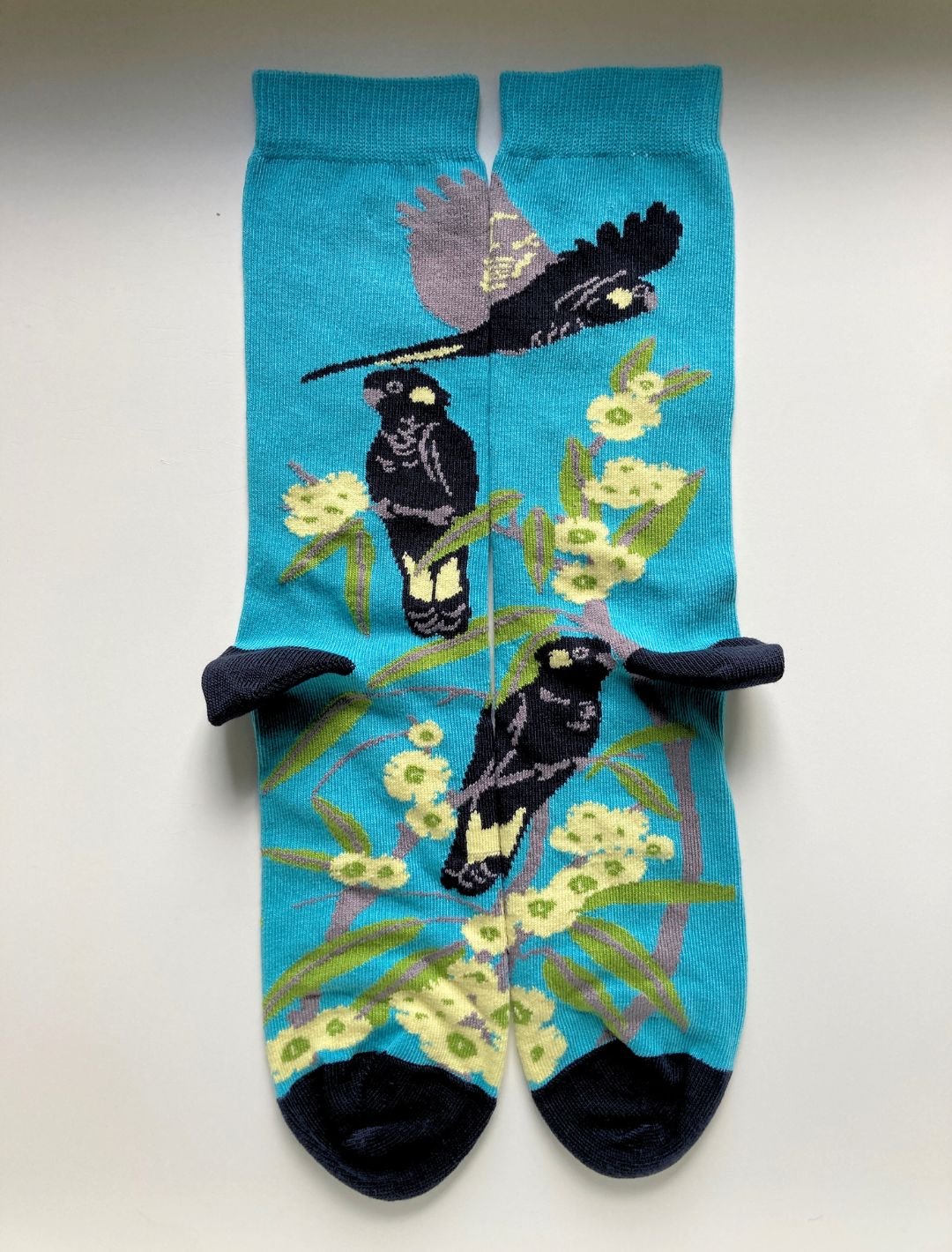 Black Cockatoo Socks in Aqua blue