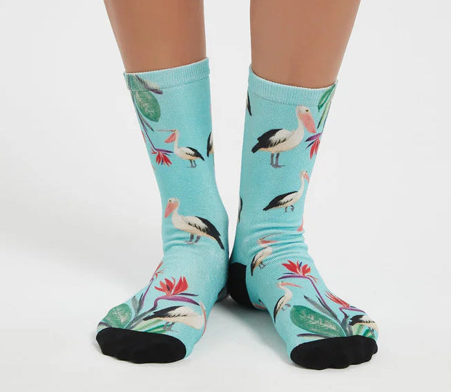 Person wearing socks with pelican design on a white background