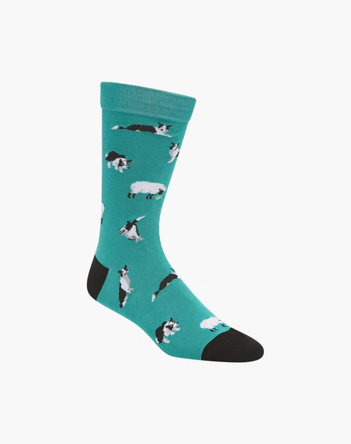 Green mens novelty sock with border collies rounding up sheep - The Sockery