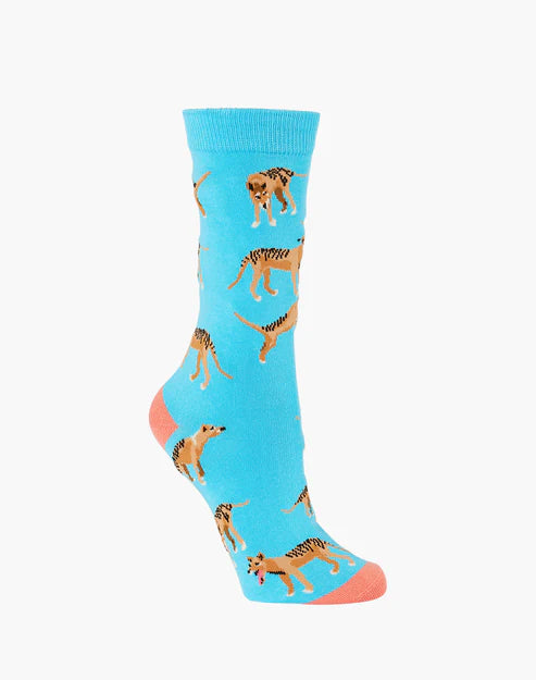 Bundle of 3 Women's Crew Socks - Tasmania's Favourite Animals
