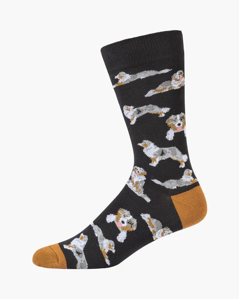 Australian Shepherd on Black Men's Crew Sock