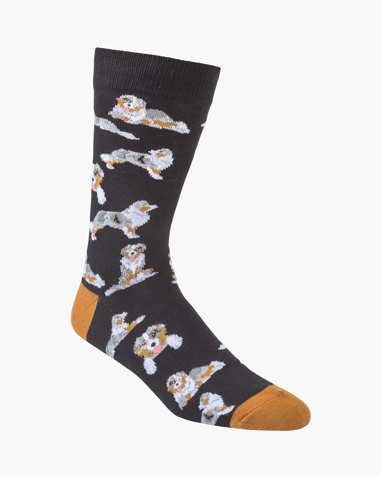 Australian Shepherd on Black Men's Crew Sock