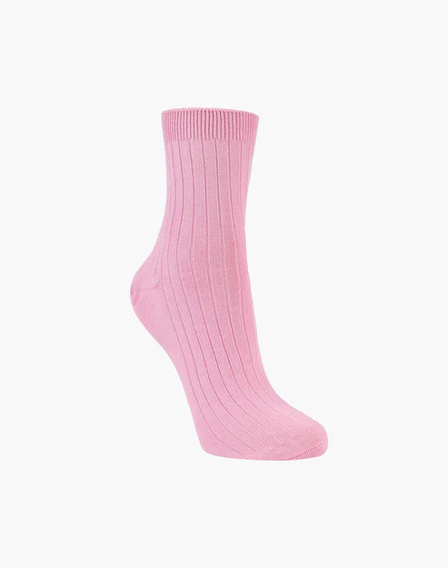 Rock Wallaby Women's Bamboo Quarter Socks - The Sockery